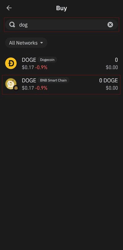 آموزش خرید دوج به زبان ساده + آموزش خرید Dogecoin تصویری 13 13 1 1